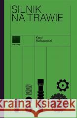 Silnik na trawie Karol Maliszewski 9788365502681 Warstwy - książka