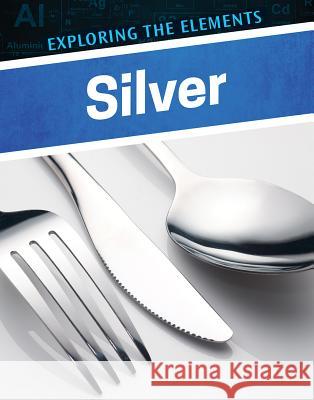 Silver Henrietta Toth 9780766099265 Enslow Publishing - książka