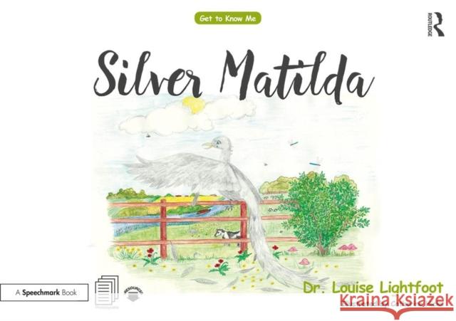 Silver Matilda: Get to Know Me: Depression Louise Lightfoot 9780815349457 Taylor & Francis Inc - książka