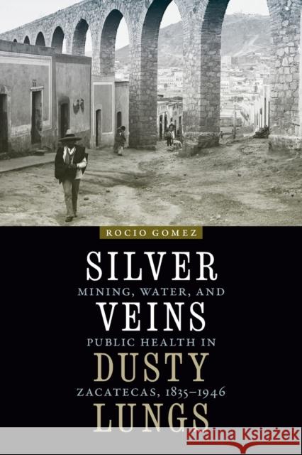 Silver Veins, Dusty Lungs: Mining, Water, and Public Health in Zacatecas, 1835-1946 Rocio Gomez 9781496221117 University of Nebraska Press - książka