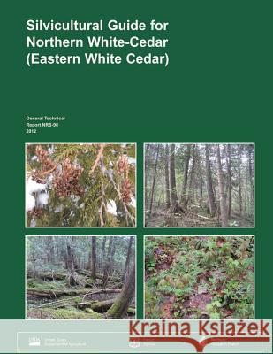 Silvicultureal Guide for Northern White-Cedar (Eastern White Cedar) U. S. Department of Agriculture 9781505826913 Createspace - książka