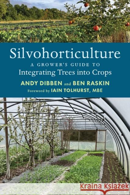 Silvohorticulture: A grower's guide to integrating trees into crops Ben Raskin 9781915294364 Chelsea Green Publishing UK - książka