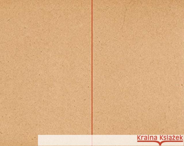 Simon Johnston: Meridian Johnston, Simon 9783869307817 Steidl Dap - książka