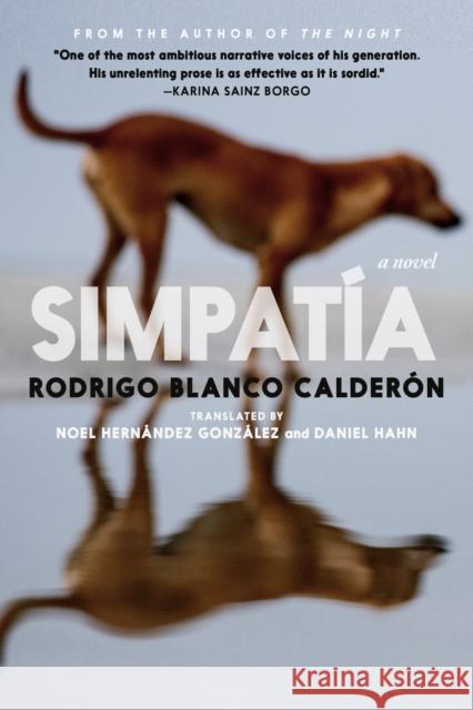 Simpatia Rodrigo Blanco Calderon 9781911710073 Seven Stories Press UK - książka