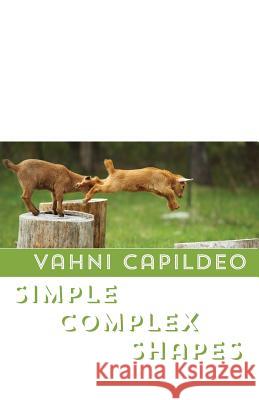Simple Complex Shapes Vahni Capildeo 9781848614512 Shearsman Books - książka