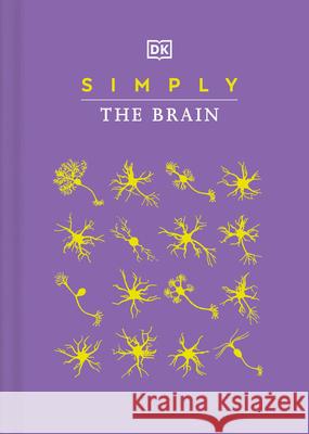 Simply the Brain DK 9780744060119 DK Publishing (Dorling Kindersley) - książka