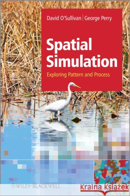 Simulating Pattern and Process O'Sullivan, David 9781119970798  - książka