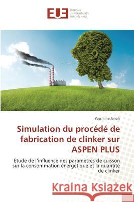 Simulation Du Procédé de Fabrication de Clinker Sur Aspen Plus Janah-Y 9783841664419 Editions Universitaires Europeennes - książka