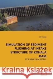 Simulation of Sediment Flushing at Intake Structure of Kohala Dam Ali Usman 9783639324655 VDM Verlag - książka