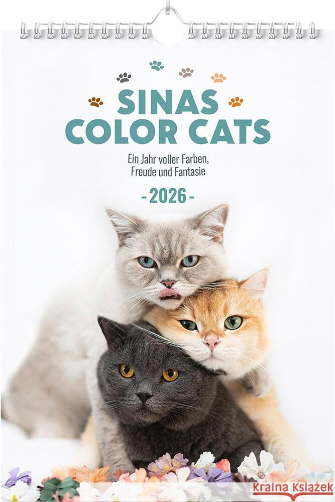 Sinas Color Cats - Ein Jahr voller Farben, Freude und Fantasie Pollok, Sina 9783989353299 Orbita Media - książka
