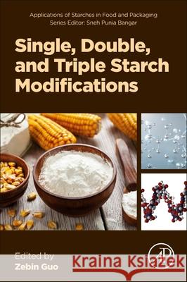 Single, Double, and Triple Starch Modifications Zebin Guo 9780443363245 Academic Press - książka