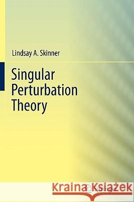 Singular Perturbation Theory Lindsay Skinner 9781441999573  - książka