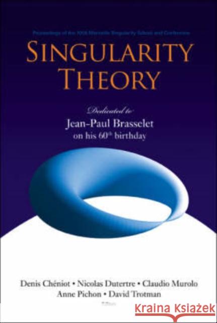 Singularity Theory: Dedicated to Jean-Paul Brasselet on His 60th Birthday - Proceedings of the 2005 Marseille Singularity School and Conference Brasselet, Jean-Paul 9789812704108 World Scientific Publishing Company - książka