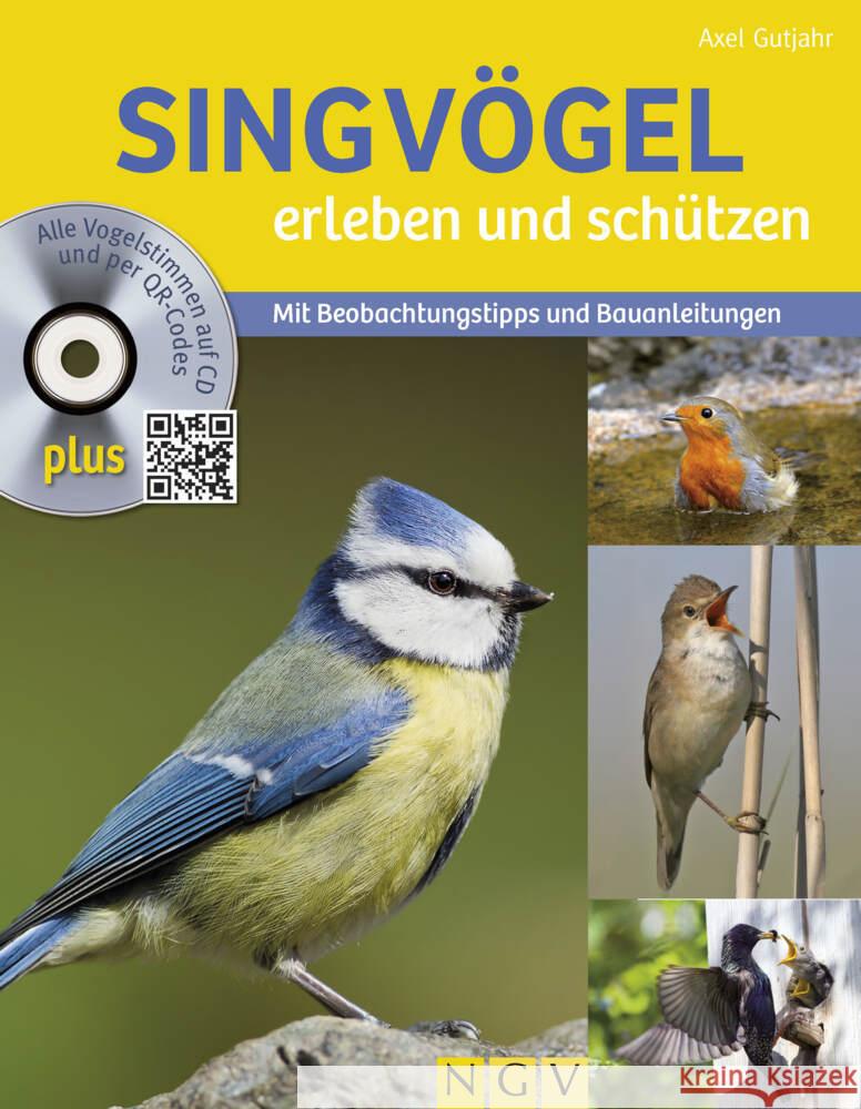 Singvögel erleben und schützen, m. Audio-CD Gutjahr, Axel 9783625189367 Naumann & Göbel - książka