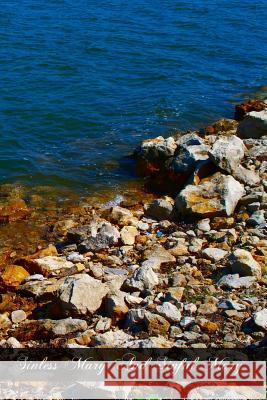 Sinless Mary And Sinful Mary Vaughan S. J., Bernard 9781466301399 Createspace - książka