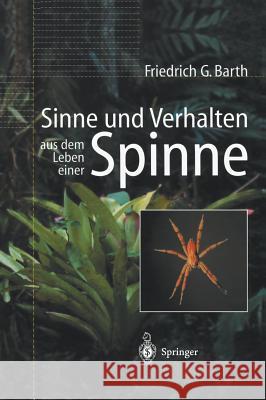 Sinne Und Verhalten: Aus Dem Leben Einer Spinne Barth, Friedrich G.   9783540677161 Springer, Berlin - książka