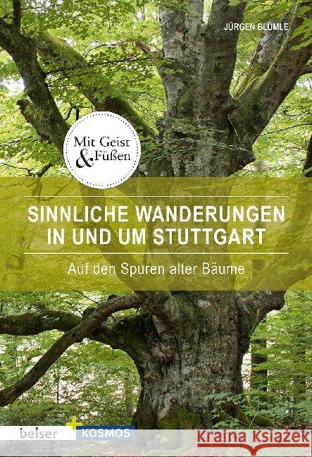 Sinnliche Wanderungen in und um Stuttgart : Auf den Spuren alter Bäume Blümle, Jürgen 9783763028399 Belser - książka