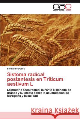 Sistema radical postantesis en Triticum aestivum L Golik Silvina Ines 9783847367970 Editorial Acad Mica Espa Ola - książka