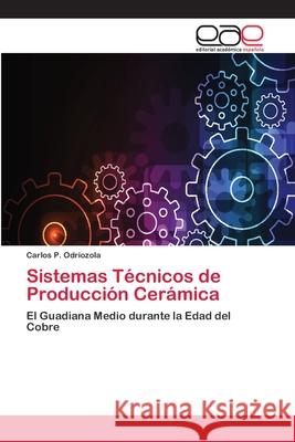 Sistemas Técnicos de Producción Cerámica Carlos P Odriozola 9783659051340 Editorial Academica Espanola - książka