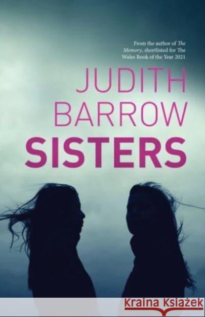 Sisters Judith Barrow 9781912905768 Honno Welsh Women's Press - książka