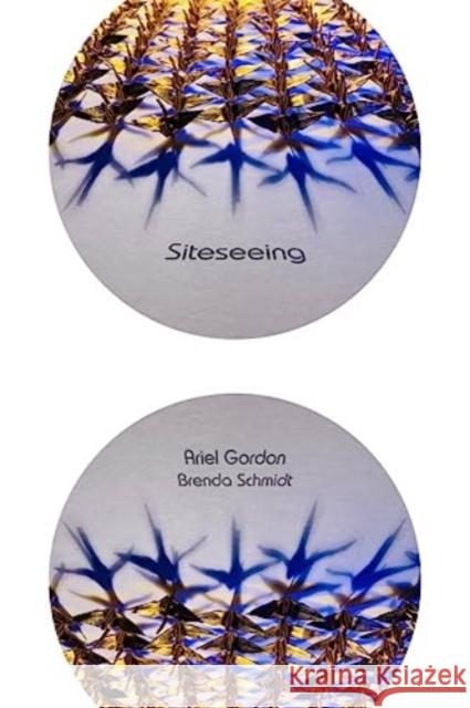 Siteseeing Schmidt, Brenda 9781998779048 At Bay Press - książka