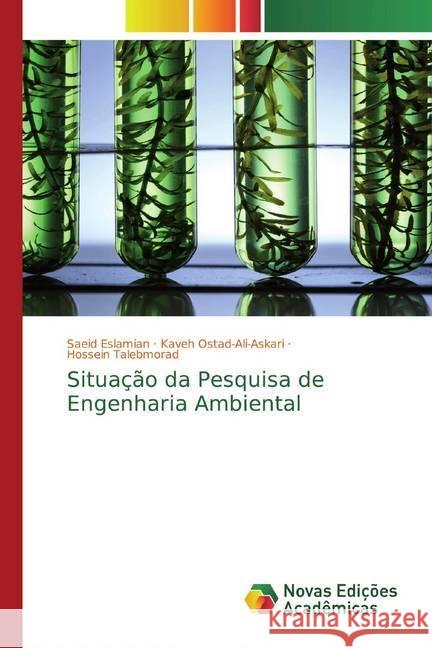 Situação da Pesquisa de Engenharia Ambiental Eslamian, Saeid; Ostad-Ali-Askari, Kaveh; Talebmorad, Hossein 9786200584038 Novas Edicioes Academicas - książka