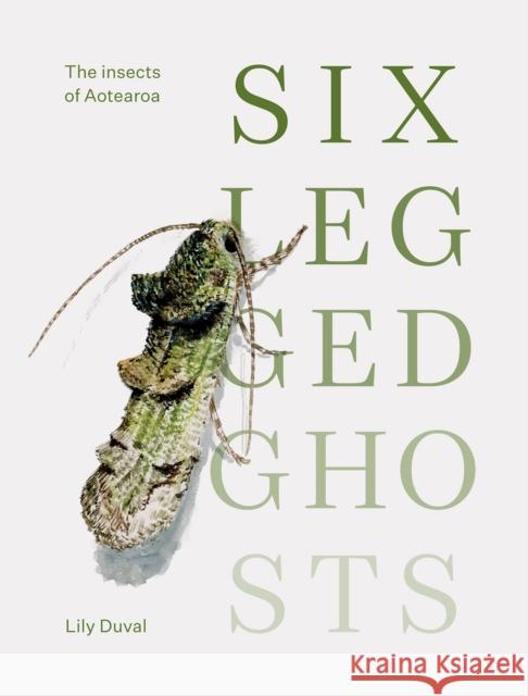 Six-legged Ghosts: The insects of Aotearoa Lily Duval 9781988503431 Canterbury University Press - książka