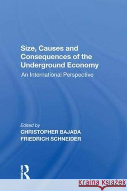 Size, Causes and Consequences of the Underground Economy: An International Perspective Friedrich Schneider 9781138620575 Routledge - książka