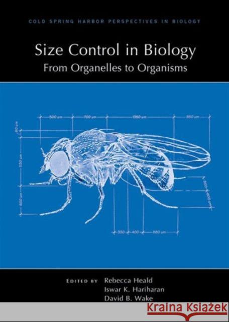 Size Control in Biology: From Organelles to Organisms Rebecca Heald David Wake Rebecca Heald 9781621821496 Cold Spring Harbor Laboratory Press - książka