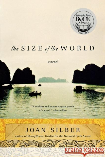 Size of the World Silber, Joan 9780393334890 W. W. Norton & Company - książka