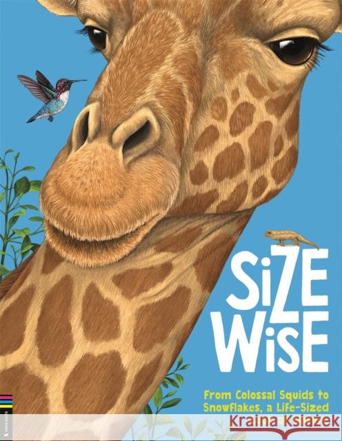 Size Wise: From Colossal Squids to Snowflakes, a Life-Sized Look at Nature Camilla de la Bedoyere 9781780558240 Michael O'Mara Books Ltd - książka