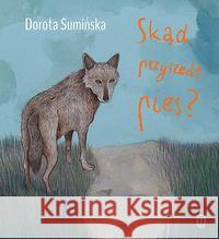 Skąd przyszedł pies? Sumińska Dorota 9788308069271 Literackie - książka