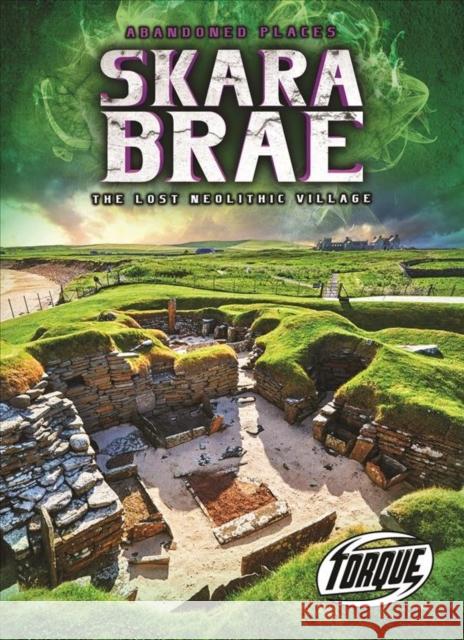 Skara Brae: The Lost Neolithic Village Lisa Owings 9781644871645 Torque - książka