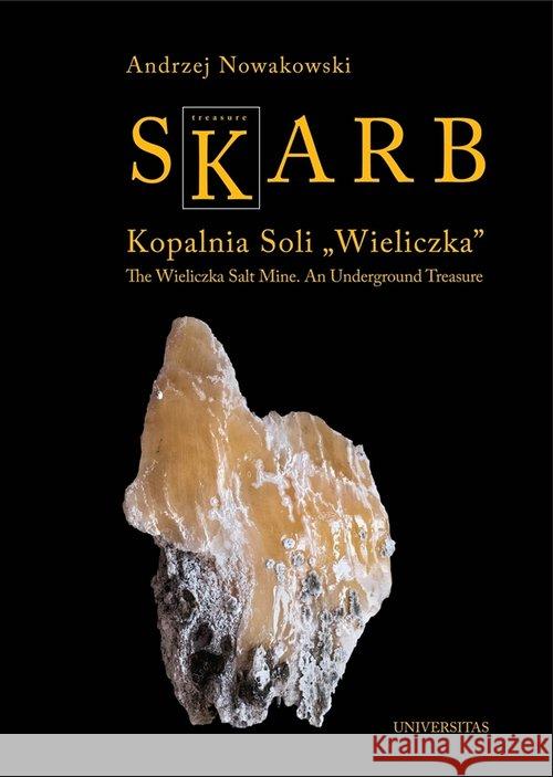 Skarb. Kopalnia Soli 