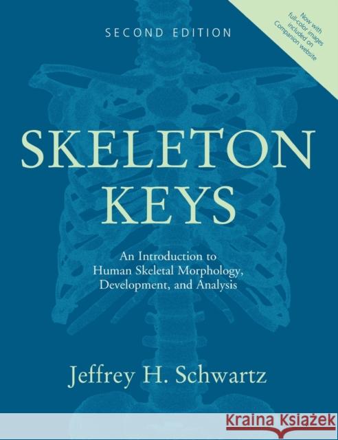 skeleton keys: an introduction to human skeletal morphology, development, and analysis  Schwartz, Jeffrey H. 9780195188592 Oxford University Press, USA - książka
