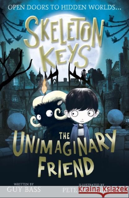 Skeleton Keys: The Unimaginary Friend Guy Bass Pete Williamson  9781788950305 Little Tiger Press Group - książka