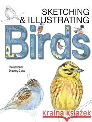 Sketching & Illustrating Birds: Professional Drawing Class Juan Varela 9780764167911 Barron's Educational Series - książka