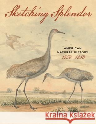 Sketching Splendor: American Natural History, 1750-1850 Anna Majeski Michelle Craig McDonald American Philosophical Society 9781606180402 American Philosophical Society Press - książka