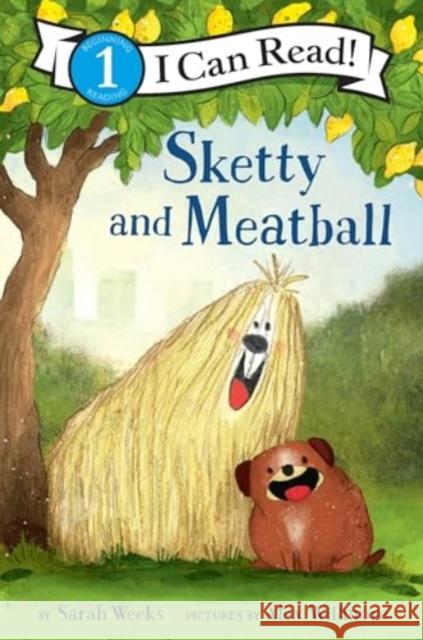 Sketty and Meatball Sarah Weeks 9780062431615 HarperCollins Publishers Inc - książka