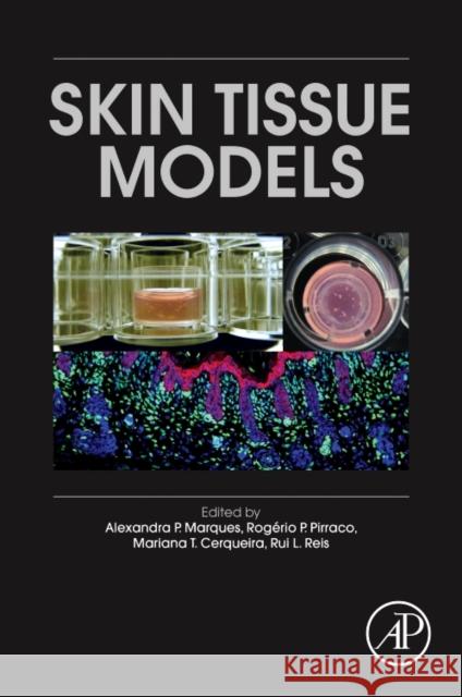Skin Tissue Models Alexandra P. Marques Rui L. Reis Rogerio P. Pirraco 9780128105450 Academic Press - książka