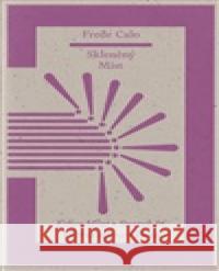 Skleněný Mist  9788074435874 Větrné mlýny - książka