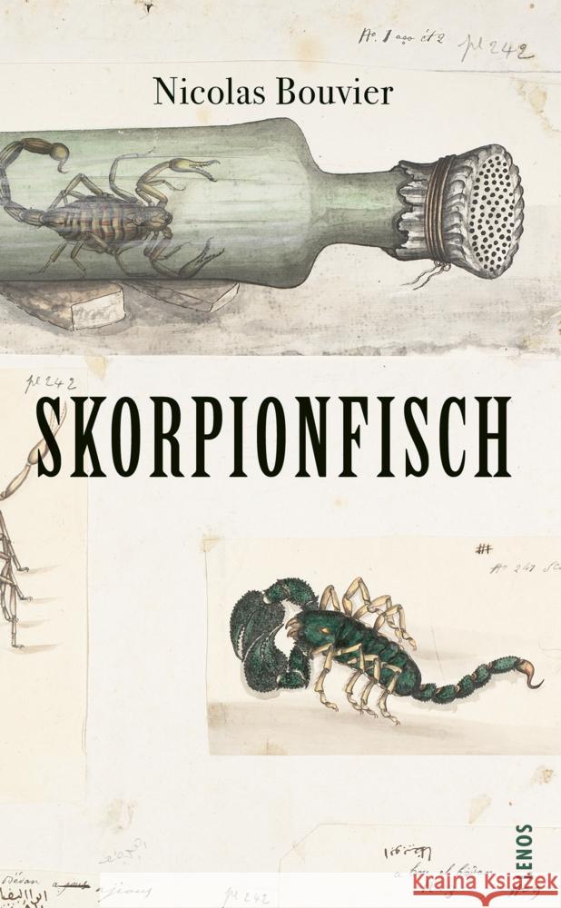 Skorpionfisch Bouvier, Nicolas 9783857878473 Lenos - książka