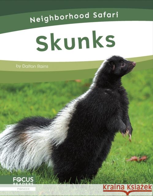 Skunks Dalton Rains 9798889981794 Focus Readers - książka