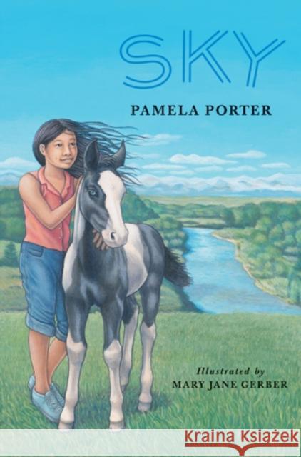 Sky Pamela Porter Mary Jane Gerber 9780888996077 Groundwood Books - książka