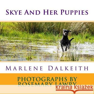 Skye And Her Puppies Lawry, Rosemary 9781515237587 Createspace - książka