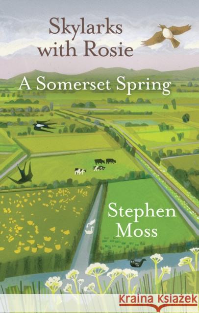 Skylarks with Rosie: A Somerset Spring Stephen Moss 9781913393045 Saraband - książka