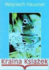 Śladem motyli o świcie Wojciech Hausner 9788368203127 Sowello - książka