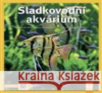 Sladkovodní akvárium Ines Scheurmannová 9788075412782 Vašut - książka