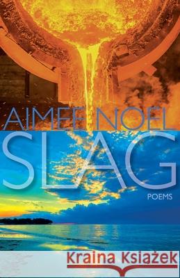 Slag Aimee Noel Hayley Haugen 9781962405409 Sheila-Na-Gig Editions - książka