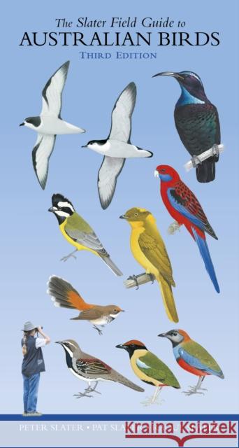 Slater Field Guide to Australian Birds: Third edition Raoul Slater 9781921073168 New Holland Publishers - książka